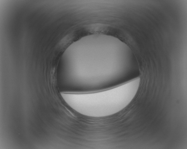 X0000051910239200506241111