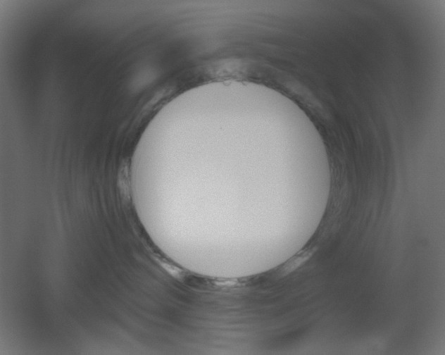 X0000051910240200506241111