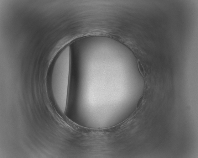 X0000051910242200506241110