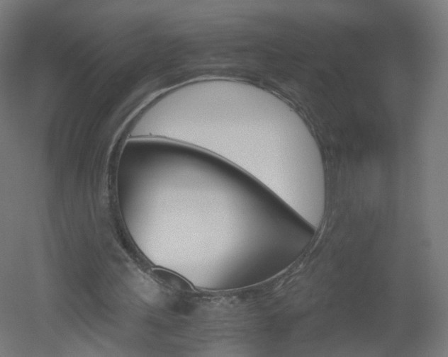 X0000051910243200506241110
