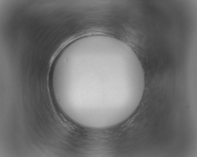 X0000051910244200506241110