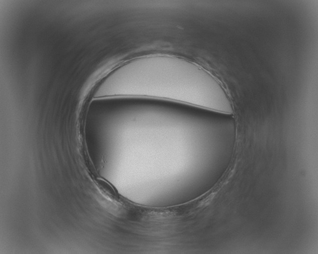 X0000051910245200506241110