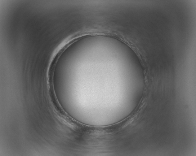 X0000051910246200506241110