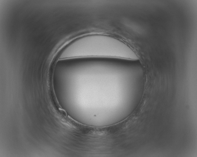 X0000051910247200506241110
