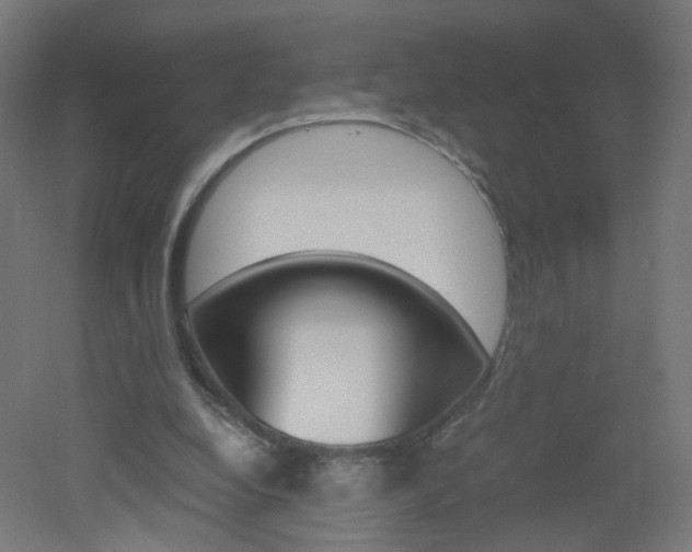 X0000051910248200506241110
