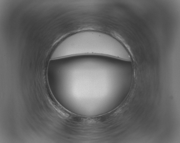 X0000051910249200506241110