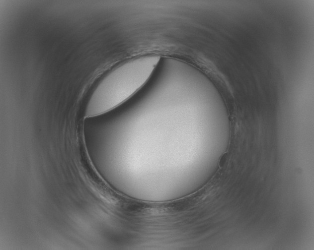 X0000051910250200506241110