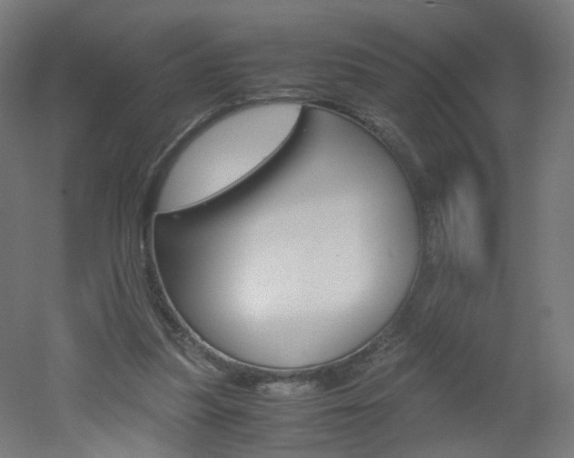 X0000051910251200506241110