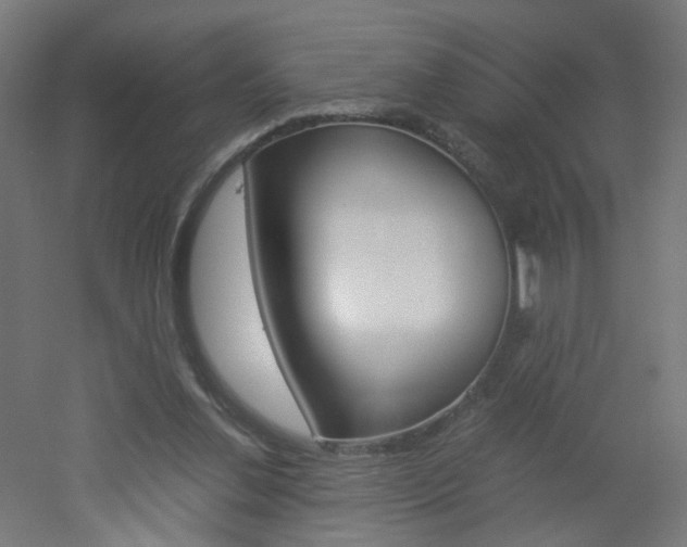 X0000051910252200506241110