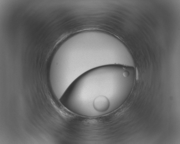 X0000051910253200506241110