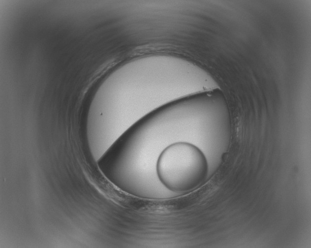 X0000051910254200506241110