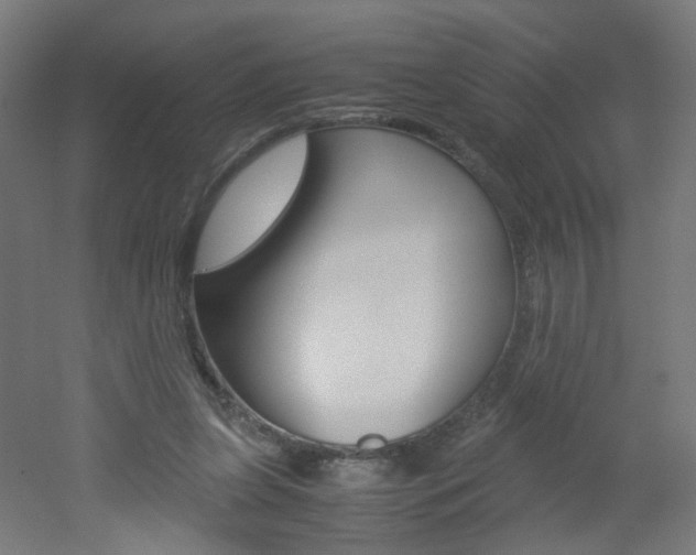 X0000051910255200506241111