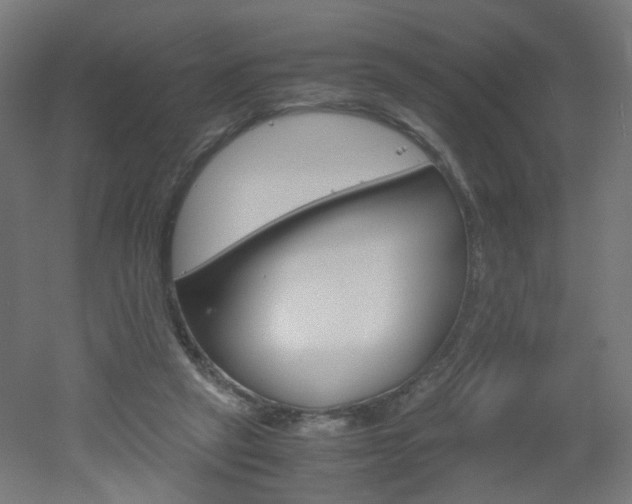 X0000051910257200506241111