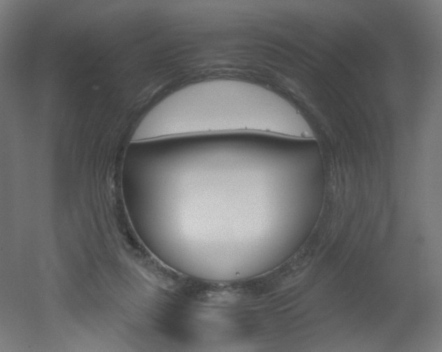 X0000051910259200506241111