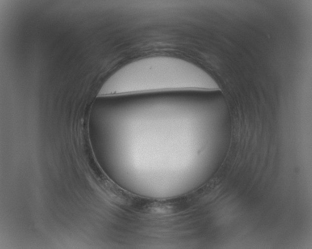 X0000051910263200506241111