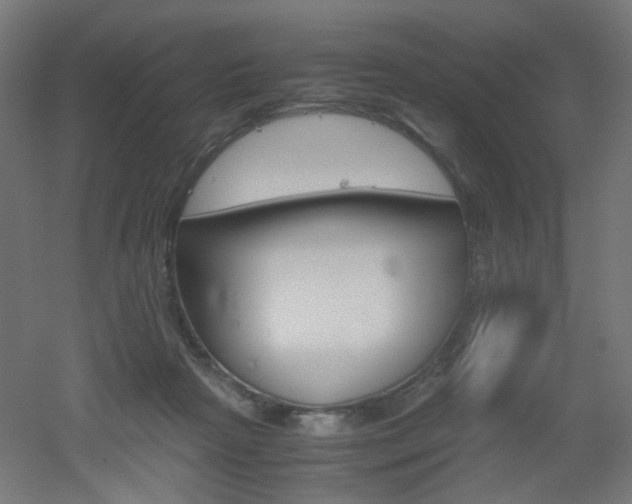 X0000051910265200506241111