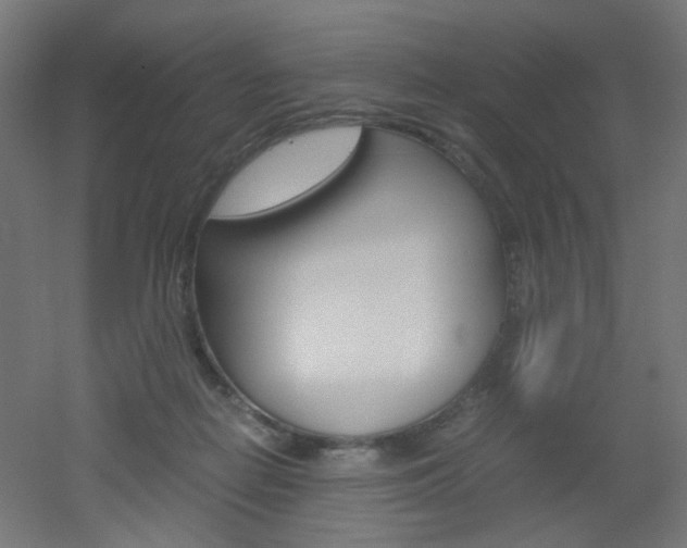 X0000051910266200506241111