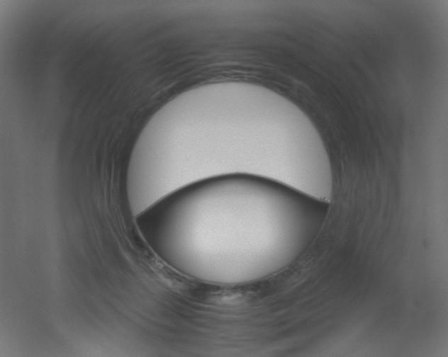 X0000051910267200506241111