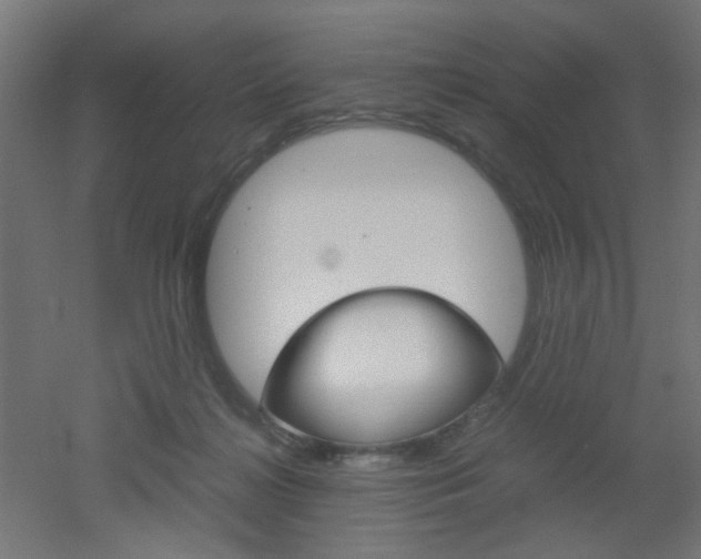 X0000051910268200506241111