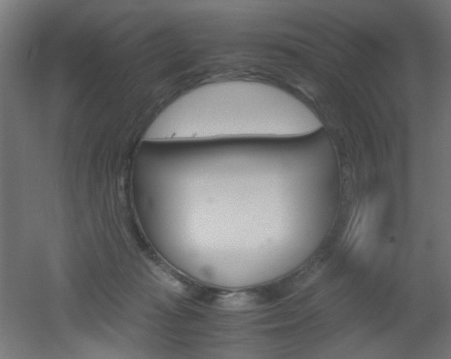 X0000051910269200506241111