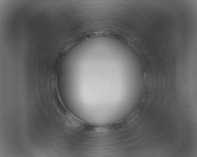X0000051910272200506241111