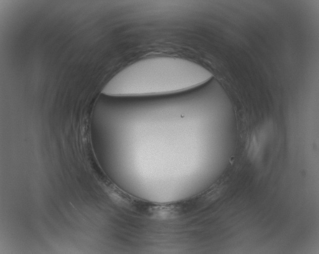 X0000051910273200506241111