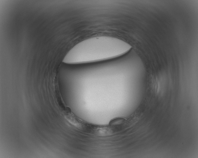 X0000051910275200506241111