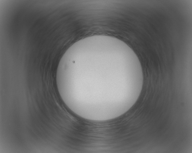 X0000051910280200506241111