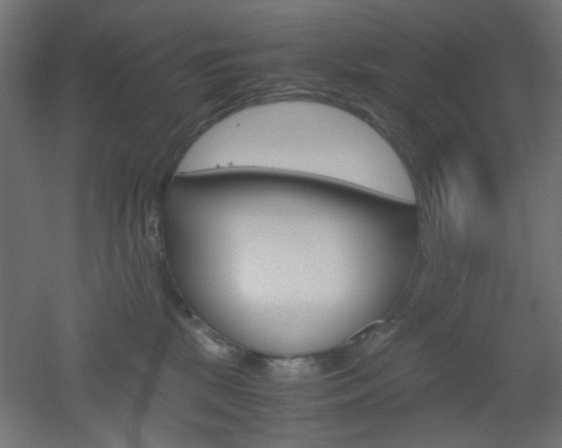 X0000051910281200506241111