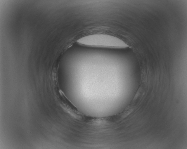 X0000051910284200506241111
