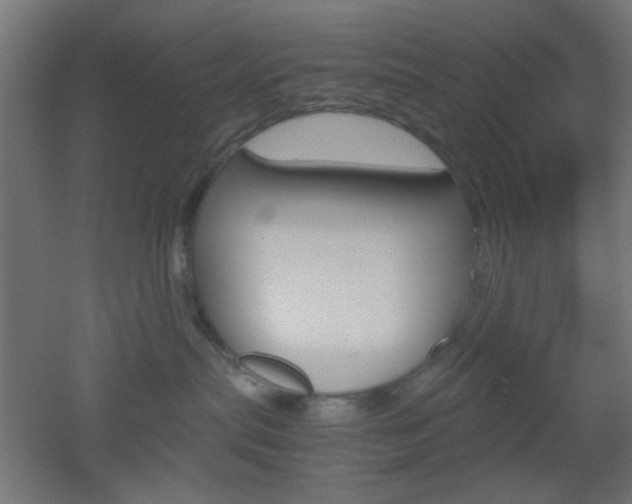 X0000051910287200506241111