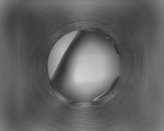 X0000051910288200506241111