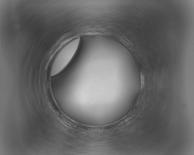 X0000051910291200506241110