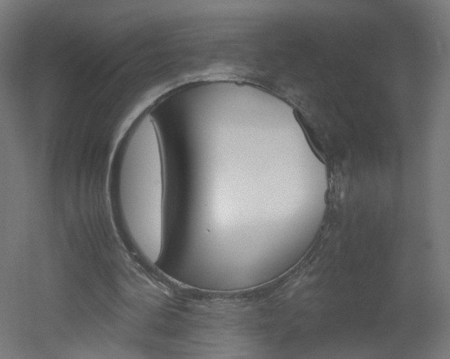 X0000051910292200506241110