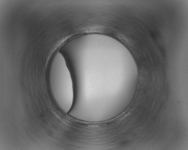X0000051910298200506241110