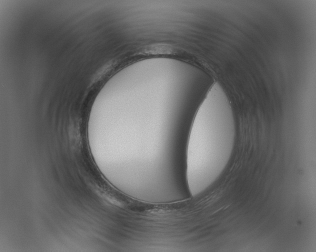 X0000051910300200506241110