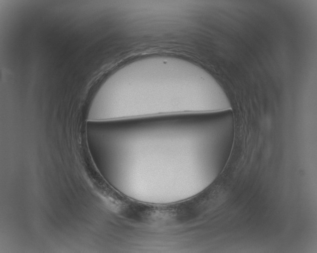 X0000051910303200506241110