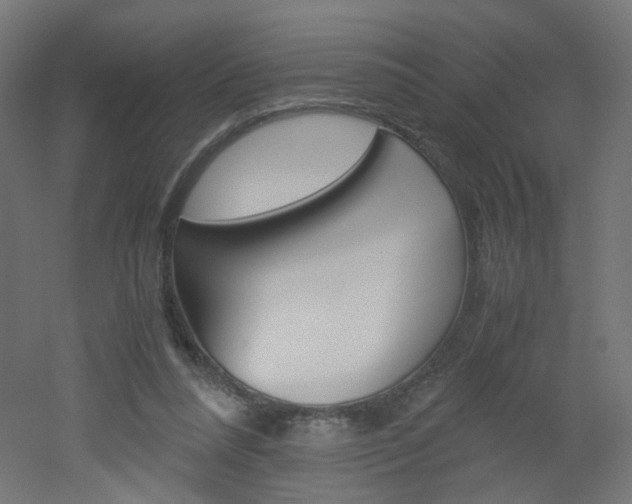X0000051910304200506241110