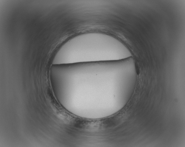X0000051910306200506241110