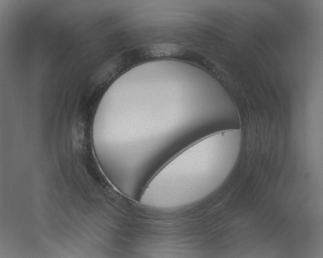 X0000051910308200506241110