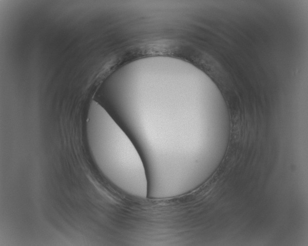 X0000051910310200506241110