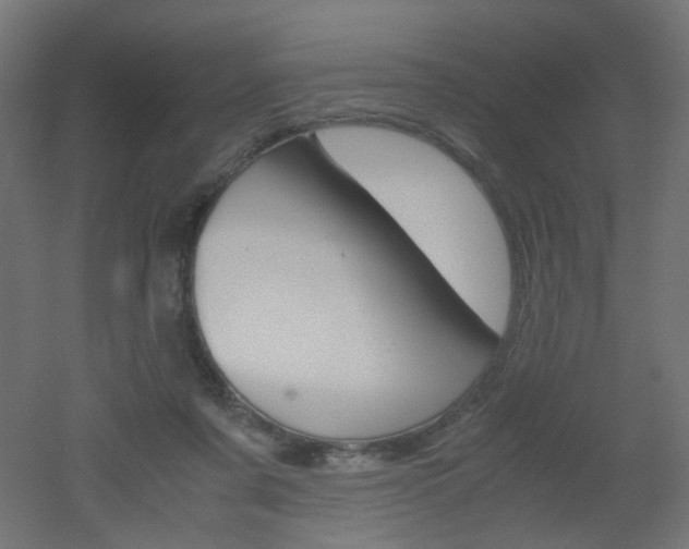 X0000051910311200506241110