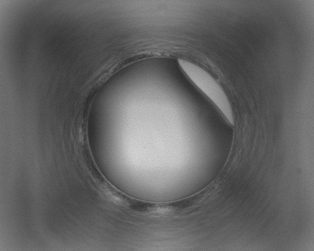 X0000051910313200506241110