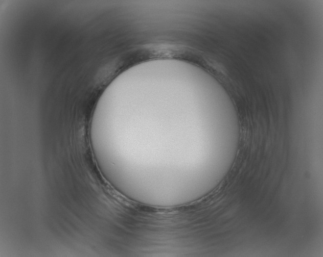 X0000051910314200506241110