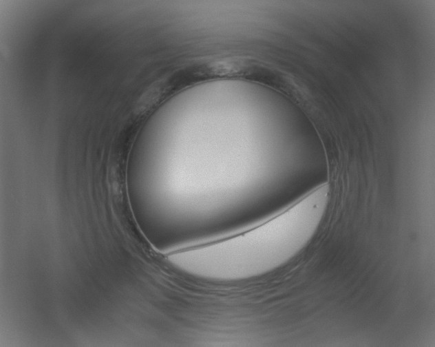 X0000051910317200506241110