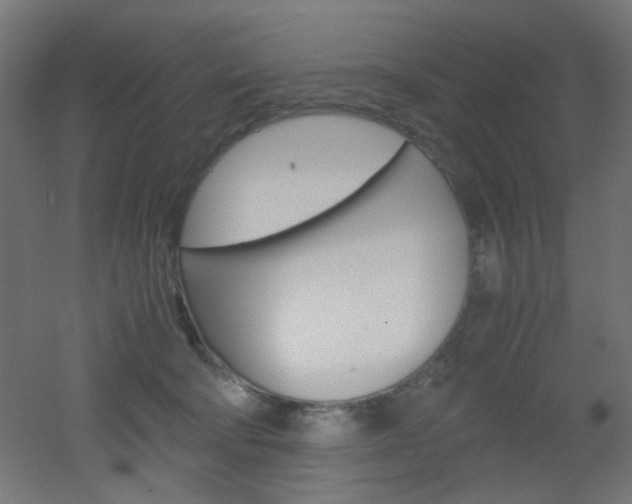 X0000051910322200506241110