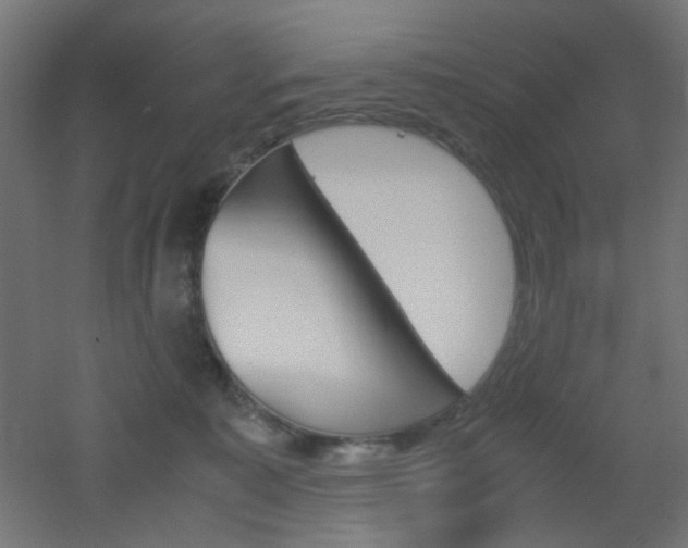 X0000051910323200506241110