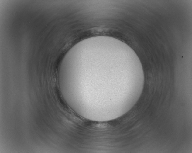X0000051910324200506241110