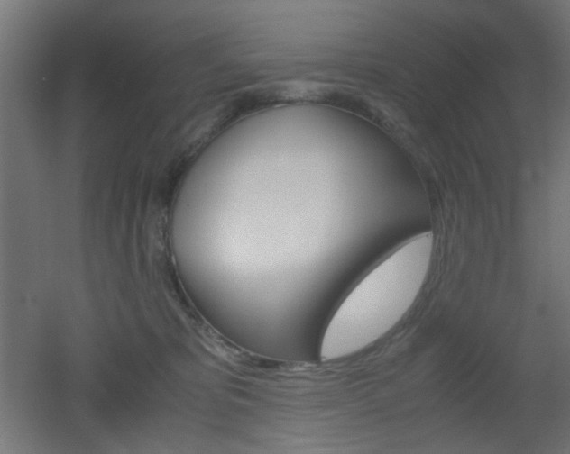 X0000051910325200506241110