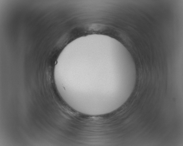 X0000051910328200506241110